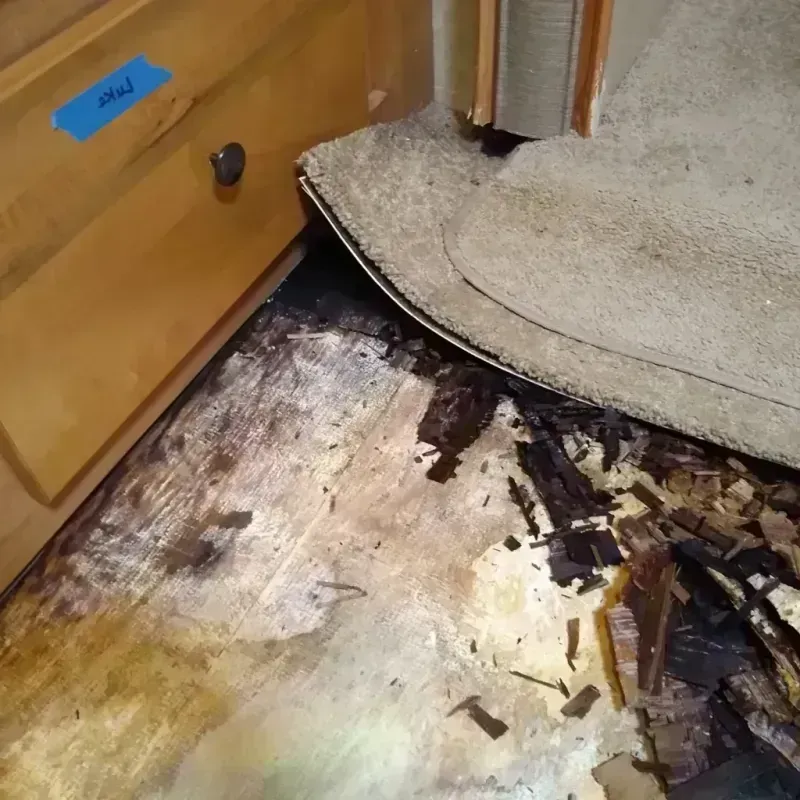 Best Wood Floor Water Damage Service in Lake Havasu City, AZ